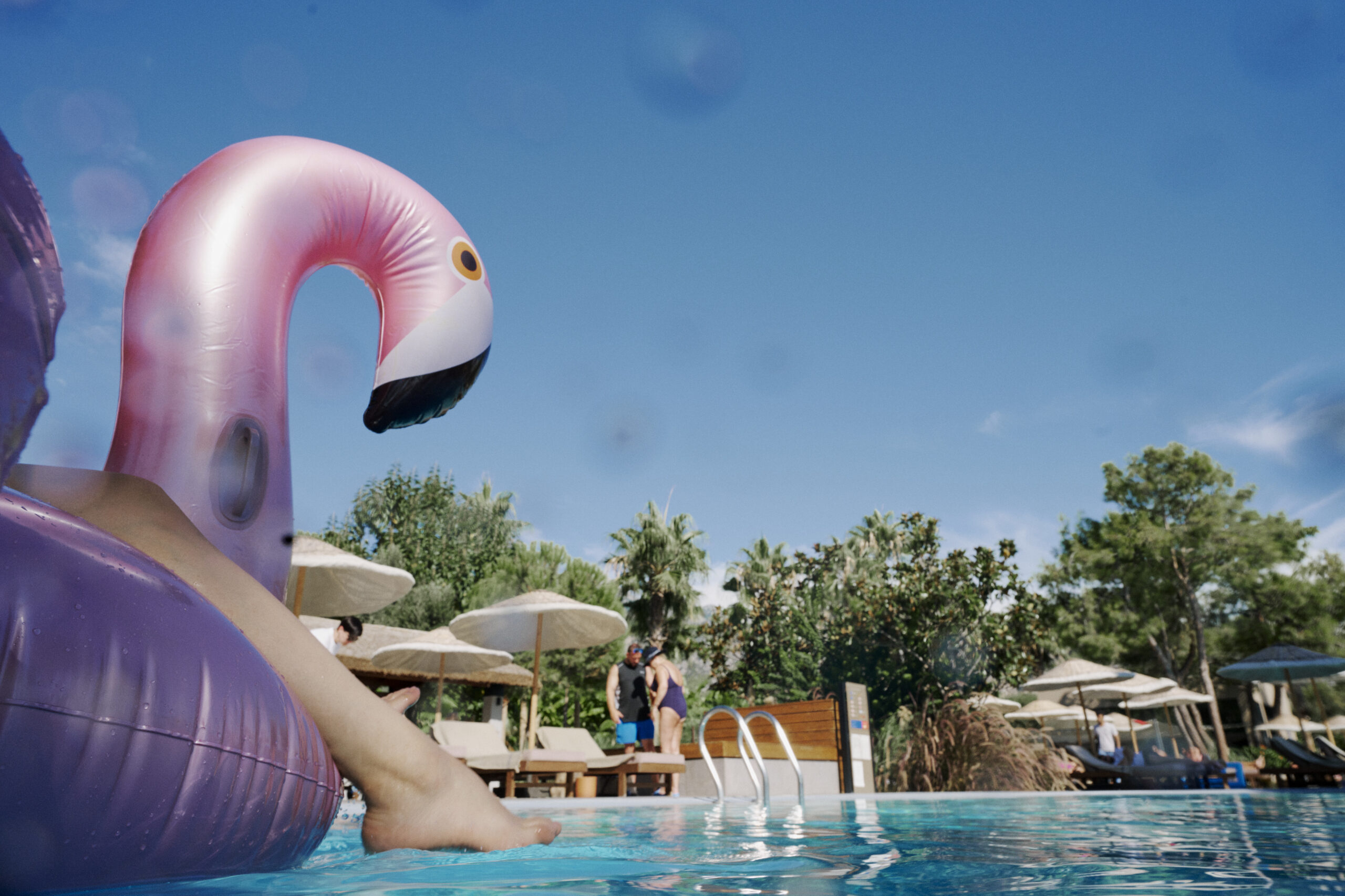230918_DERTOUR_POOL_ANIMALS_2484 230918_DERTOUR_POOL_ANIMALS_2484